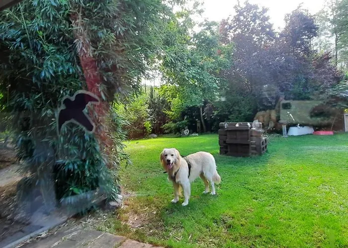 Feuer Wasser Luft Erde Dobbrikow